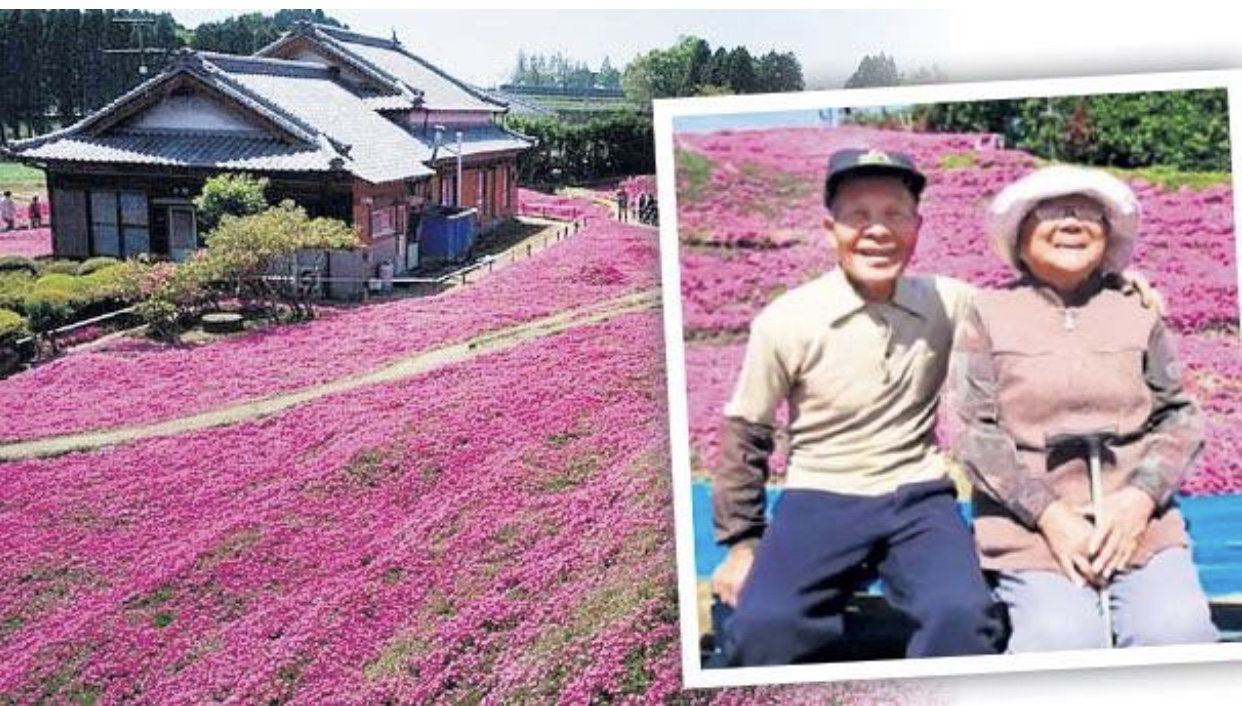 UNA MERAVIGLIOSA E TOCCANTE STORIA D’AMORE AMBIENTATA IN GIAPPONE, DOVE UN UOMO IMPIEGA DUE ANNI PER PIANTARE MIGLIAIA DI FIORI PROFUMATI, PER LA MOGLIE CADUTA IN DEPRESSIONE A CAUSA DI UNA IMPROVVISA CECITÁ. Tiziana Cerra Love Trainer